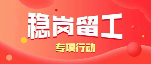 百萬青年長技能,促進(jìn)就業(yè)見行動(dòng)